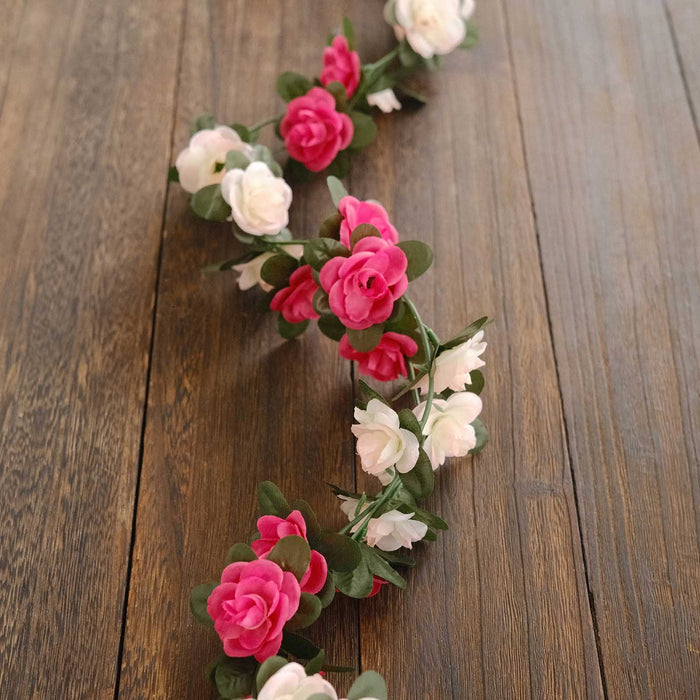 Blush | Fuchsia