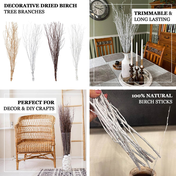 birch branches, vase filler, dried branches, branch vase filler, tall vase filler#color_parent