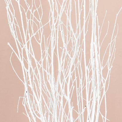 birch branches, vase filler, dried branches, branch vase filler, tall vase filler#color_parent