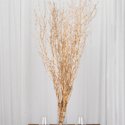 birch branches, vase filler, dried branches, branch vase filler, tall vase filler#color_parent