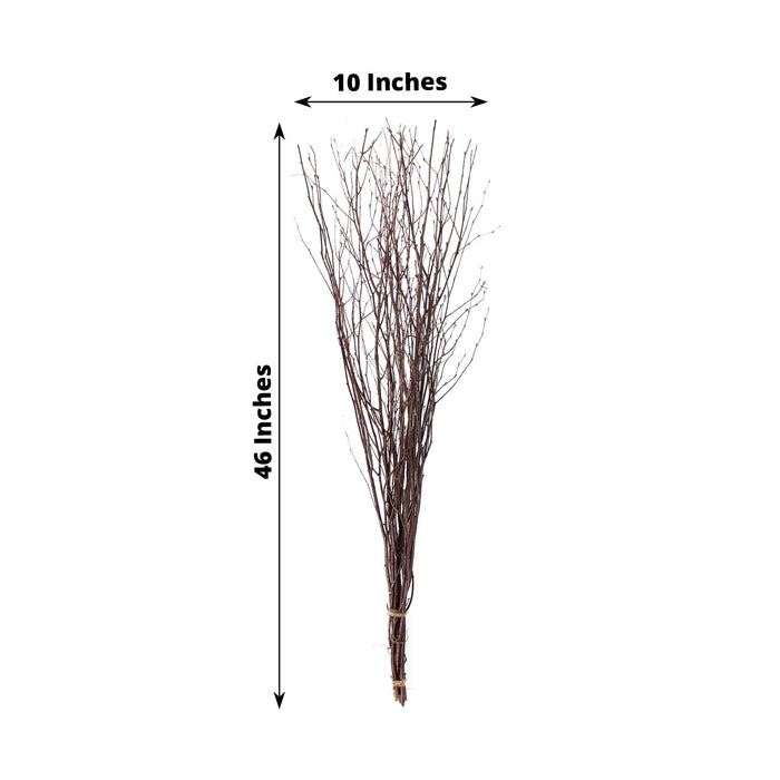 birch branches, vase filler, dried branches, branch vase filler, tall vase filler#color_parent