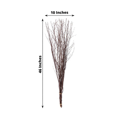 birch branches, vase filler, dried branches, branch vase filler, tall vase filler#color_parent