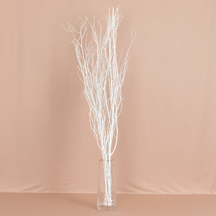 birch branches, vase filler, dried branches, branch vase filler, tall vase filler#color_white