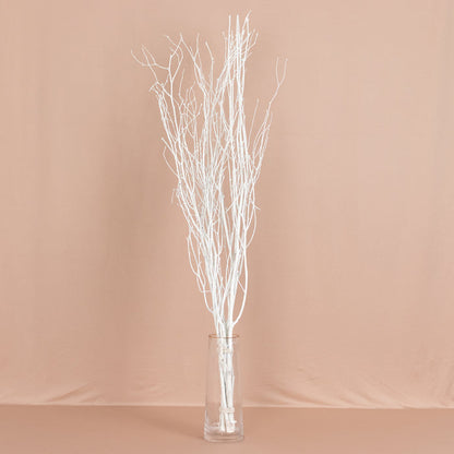 birch branches, vase filler, dried branches, branch vase filler, tall vase filler#color_white