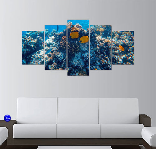 Bluecheek Butterflyfish on a Red Sea Coral Reef