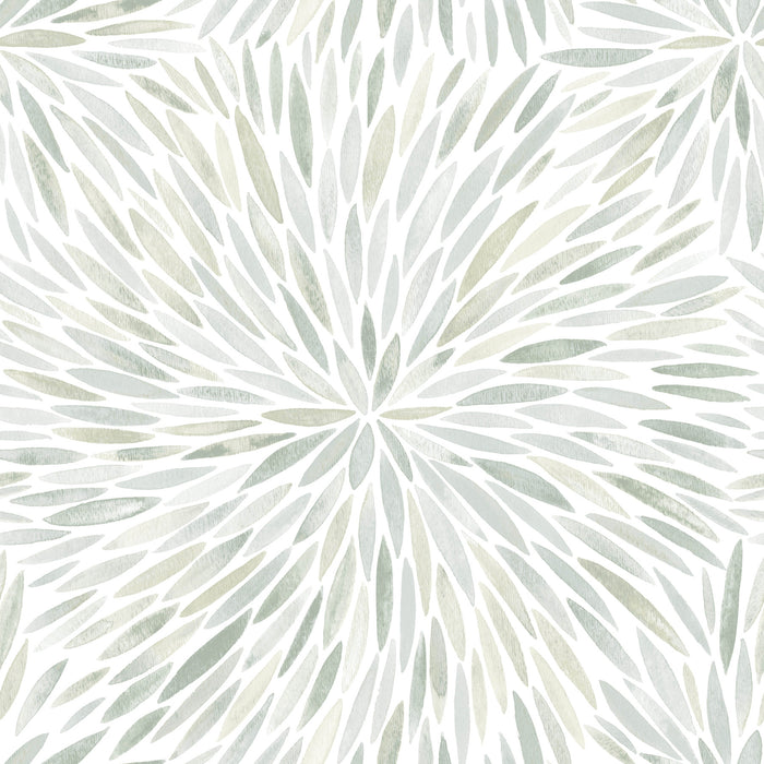 Cat Coquillette Burst Peel and Stick Wallpaper by WallPops
