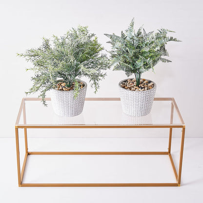 24" x 10" | Pack of 2