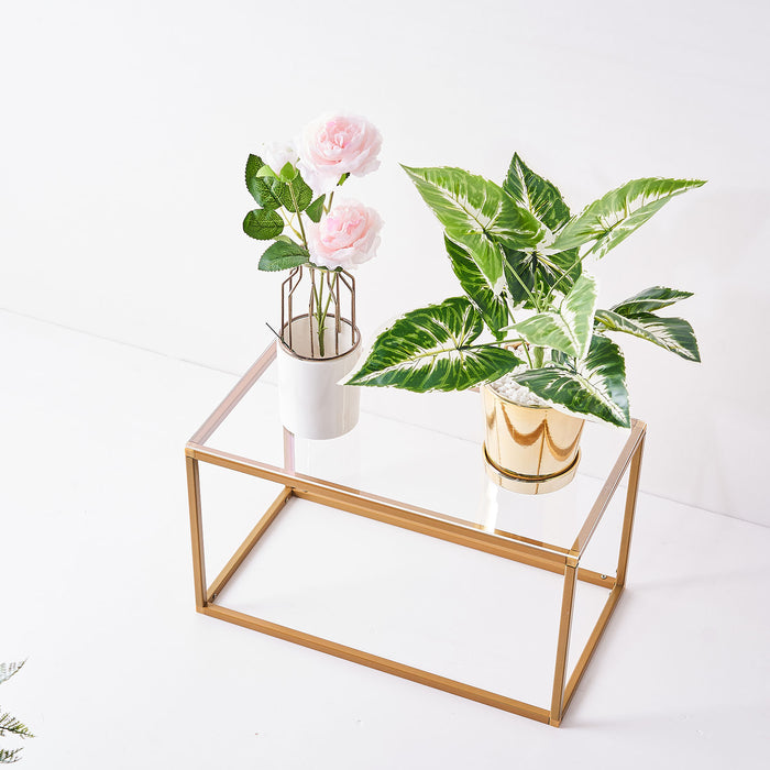 16" x 9" | Pack of 2