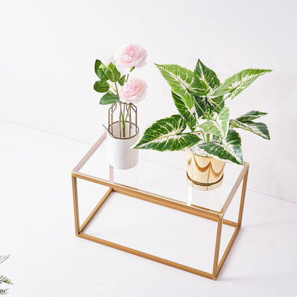16" x 9" | Pack of 2