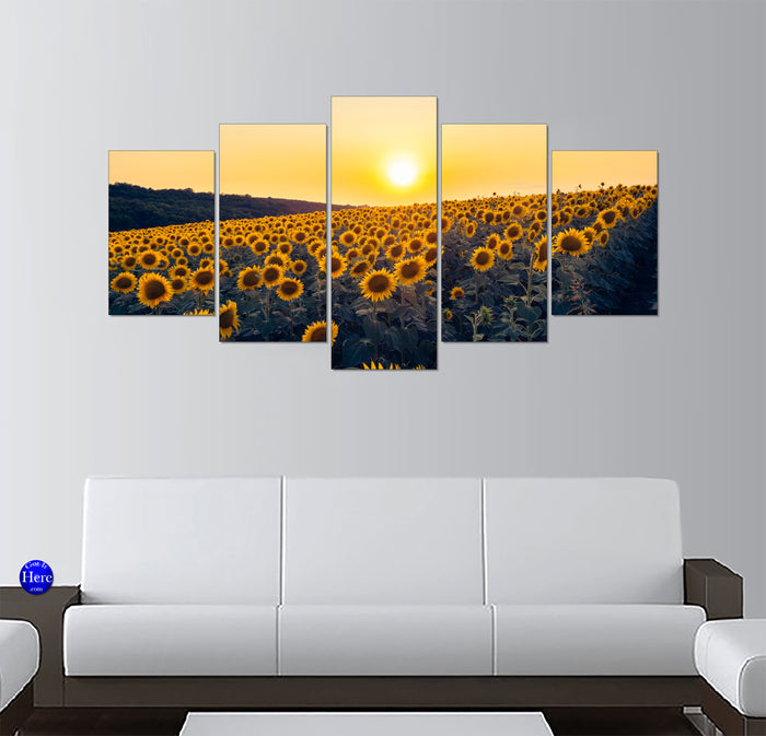 Golden Sunset Over a Blooming Sunflower Field