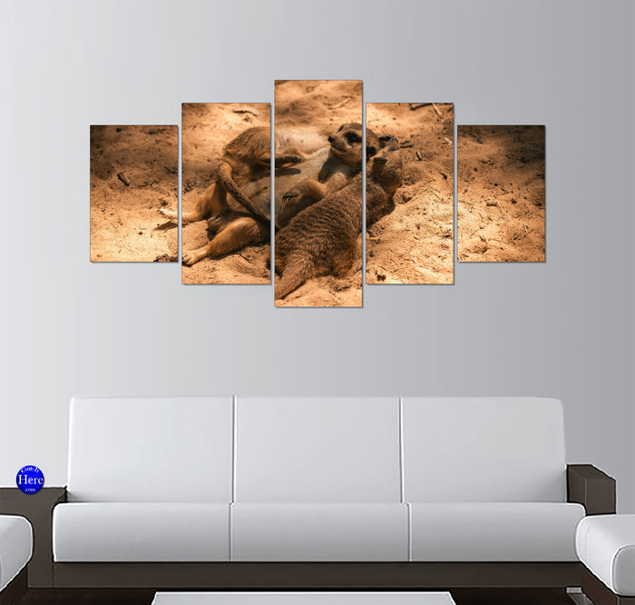 Huddled Meerkat Family Resting on Sunlit Desert Sand