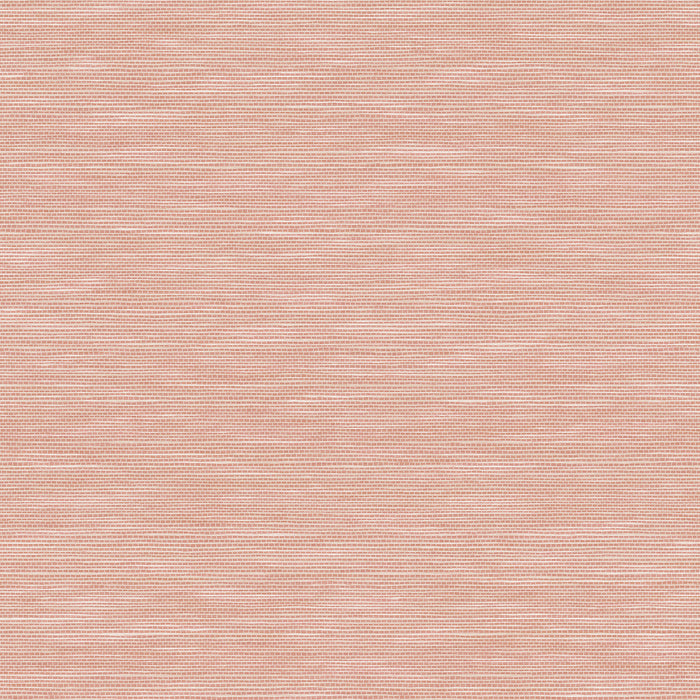 Potter’s Clay Peach / Single Roll (20.5in x 18.0ft)