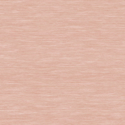 Potter’s Clay Peach / Single Roll (20.5in x 18.0ft)
