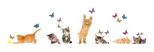 Playful Cats & Butterflies Window Stickers by WallPops