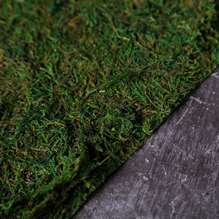 moss wall sheet roll, preserved moss roll, natural moss wall decor, moss wall panel, preserved moss decor, green wall moss, decorative moss sheet, moss backdrop wall, DIY moss wall decor#color_parent
