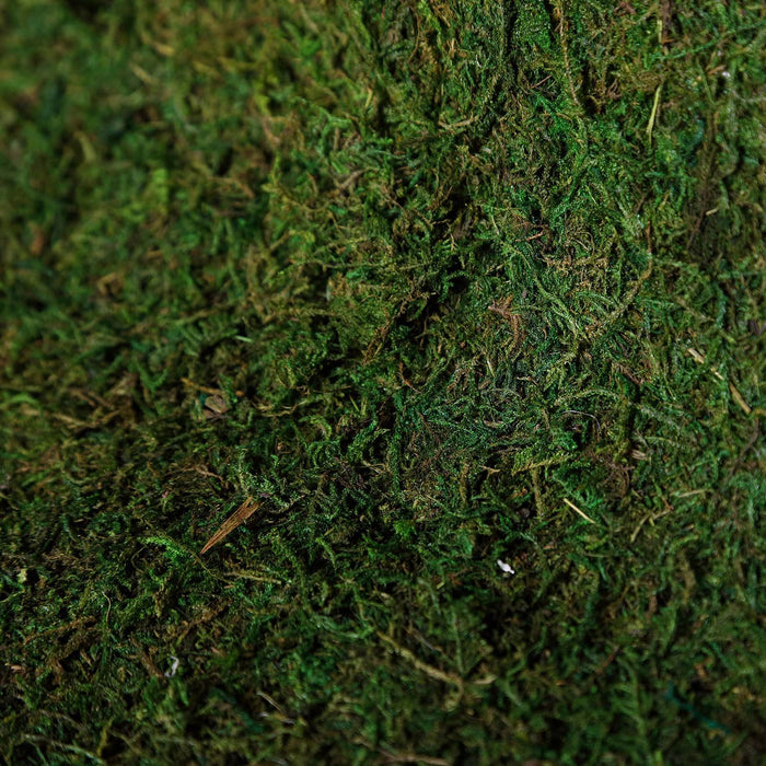 moss wall sheet roll, preserved moss roll, natural moss wall decor, moss wall panel, preserved moss decor, green wall moss, decorative moss sheet, moss backdrop wall, DIY moss wall decor#color_parent