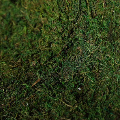 moss wall sheet roll, preserved moss roll, natural moss wall decor, moss wall panel, preserved moss decor, green wall moss, decorative moss sheet, moss backdrop wall, DIY moss wall decor#color_parent