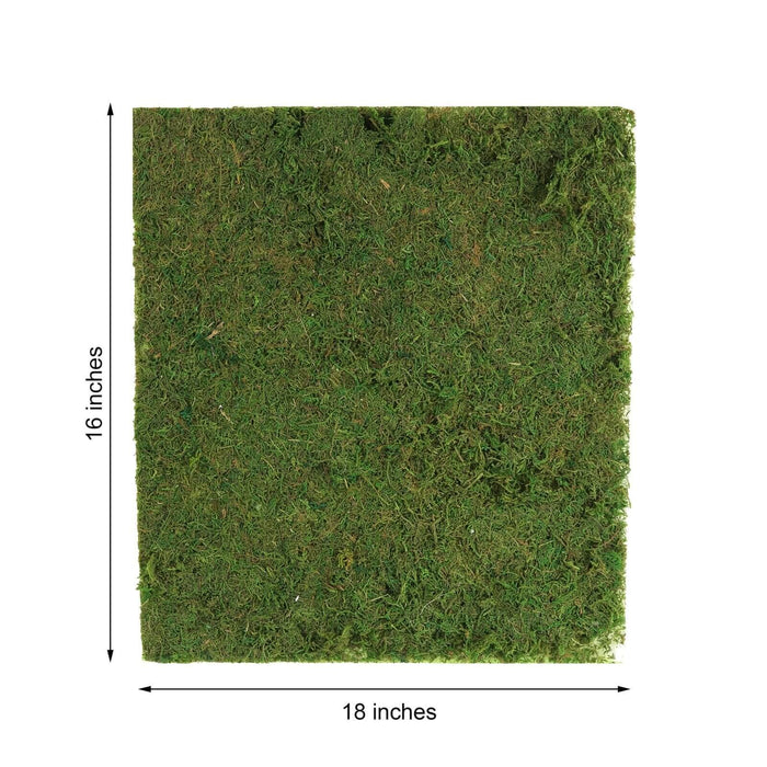 moss wall sheet roll, preserved moss roll, natural moss wall decor, moss wall panel, preserved moss decor, green wall moss, decorative moss sheet, moss backdrop wall, DIY moss wall decor#color_parent