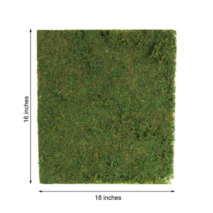 moss wall sheet roll, preserved moss roll, natural moss wall decor, moss wall panel, preserved moss decor, green wall moss, decorative moss sheet, moss backdrop wall, DIY moss wall decor#color_parent