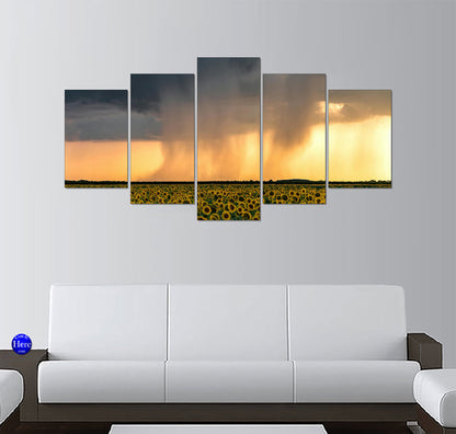 Rainstorm Breaking Over a Sunflower Field at Sunset