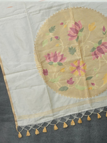Raw Silk Saree | TTDS3594