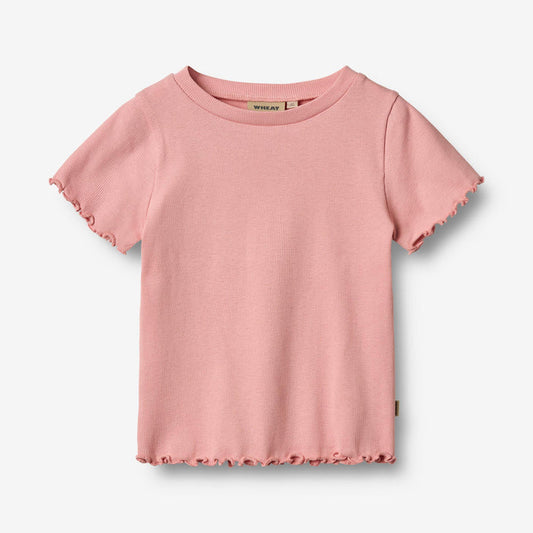 Wheat Main Rib T-shirt S/S Alicia T-Shirt 2026 rose