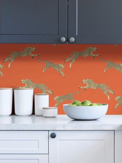 Leeping Cheetah Peel and Stick Wallpaper in a room setting