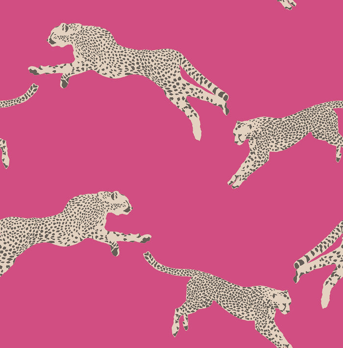 Leeping Cheetah Peel and Stick Wallpaper by WallPops