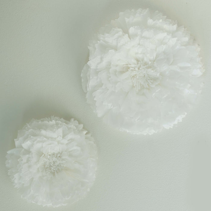 decorative flowers, giant paper flowers, 3D wall flower decor, tissue paper flowers, paper flower backdrop#color_white