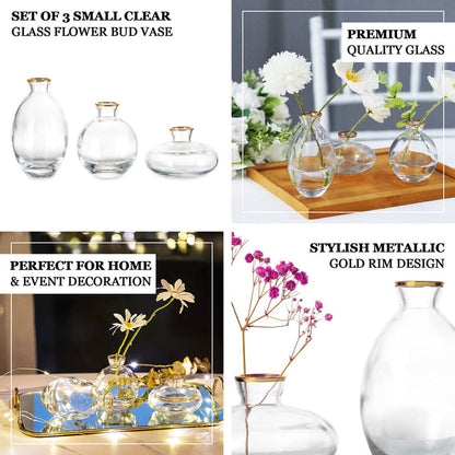 glass flower vase, bud vases, centerpiece vases, decorative vase, small flower vases#color_parent