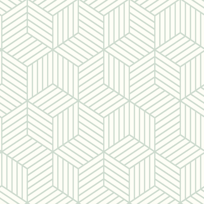 Green / Single Roll (20.5in x 16.5ft)