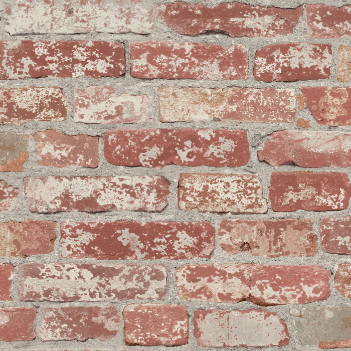 Dark Red / Single Roll (20.5in x 16.5ft)