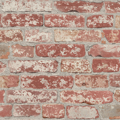 Dark Red / Single Roll (20.5in x 16.5ft)