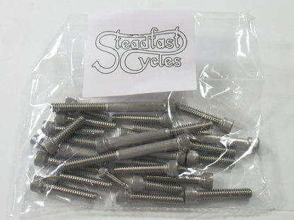Triumph side cover allen screws T100 500 1969 70 71 72 73 74 stainless steel